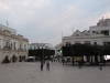 Альберобелло. Подстриженные дубы